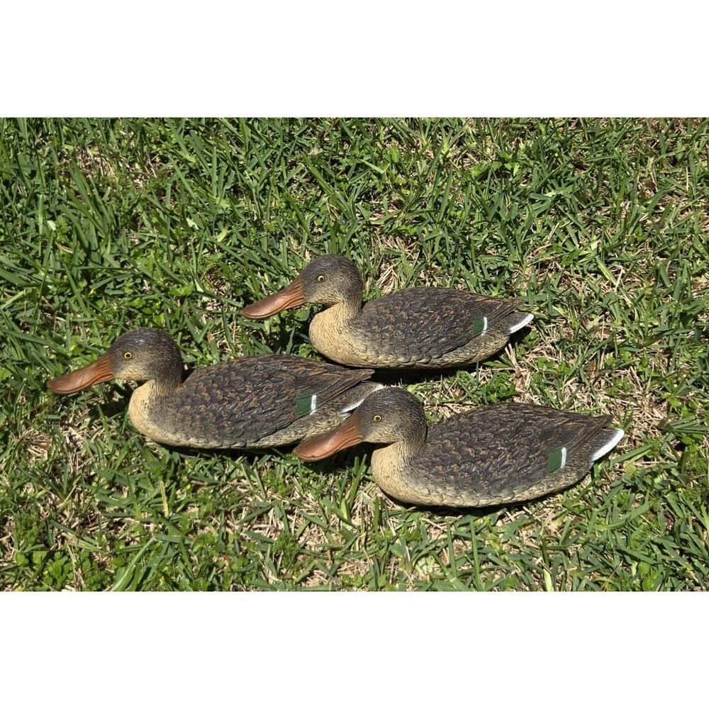 Lot of 3 SPORTS PLAST Plastic Shoveler Duck Decoys Made Italy Hunting